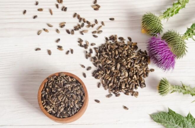 HERBS FOR BOOSTING BREAST HEALTH