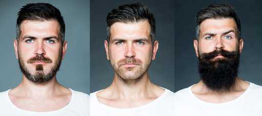 What Are the Main Beard Types? | Find The Beard That Suits You Best