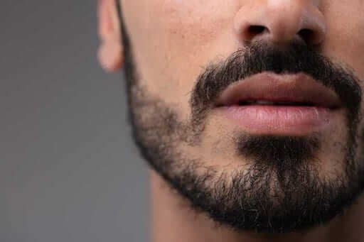 Best Beard Care Kit: Scotch Porter vs. Wild Willies