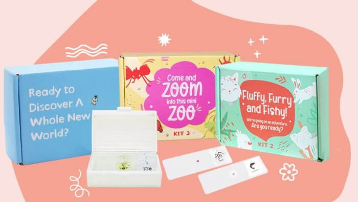 10 Best Prepared Microscope Slides for Kids