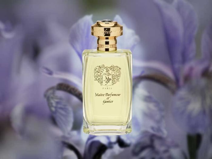 Iris Bleu Gris: A Melancholic and Bright Take of Iris