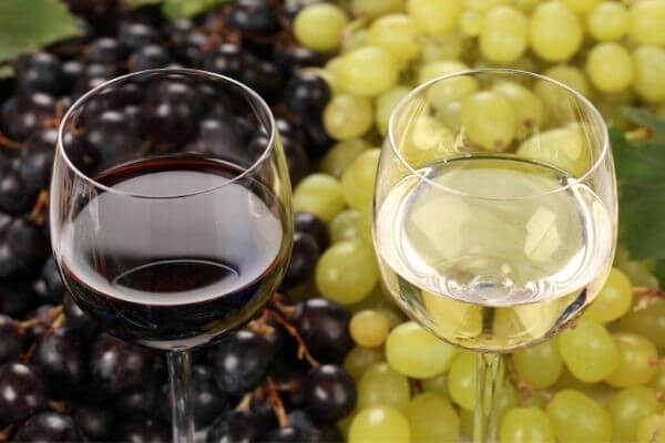 White Wine vs. Red Wine