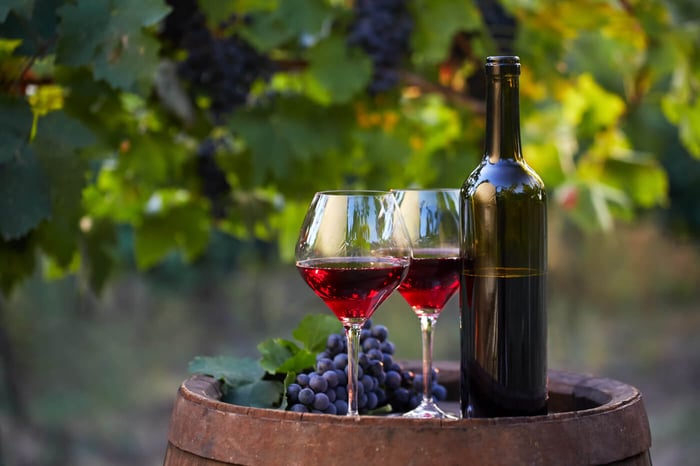 What Merlot Wine is the Best? 6 Great Merlot Wines to Try
