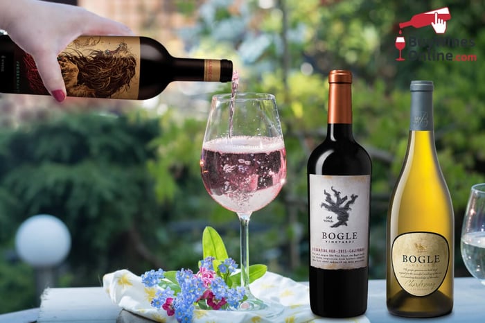 Best Wine Picks of 2021 - $15 and Under