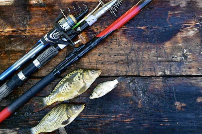 Fishing rod with lures