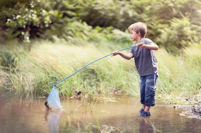 Young boy using a net to catch fish.
