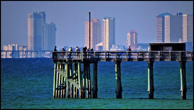 Bottom Fishing Rigs and Tips in Saltwater for Beginners