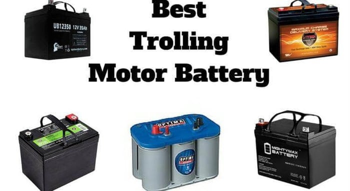 6 Best Trolling Motor Battery For The Money Reviews