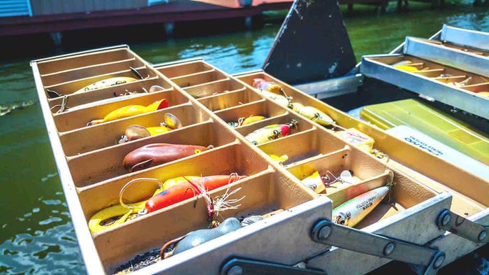The Color of Lures: What is the Best Color for Fishing Lures?