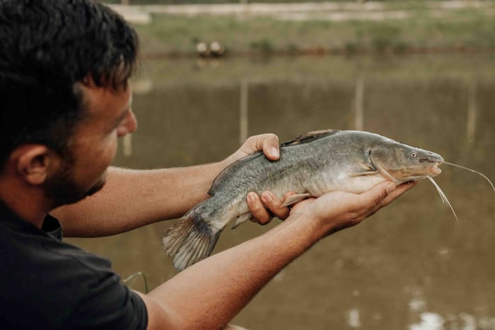 Top Rigs For Catfish Fishing To Enhance Your Success on the Water