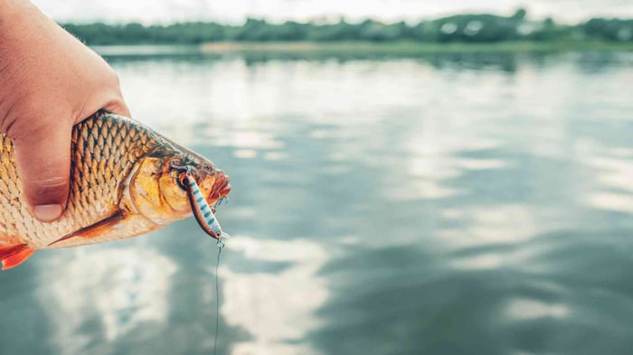Angler holding a fish with a fishing hook and lure in its mouth