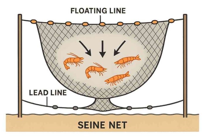 Shrimp pot on sandy bottom baited with chicken necks, fish heads, and cat food, showing how to catch shrimp from shore with traps.