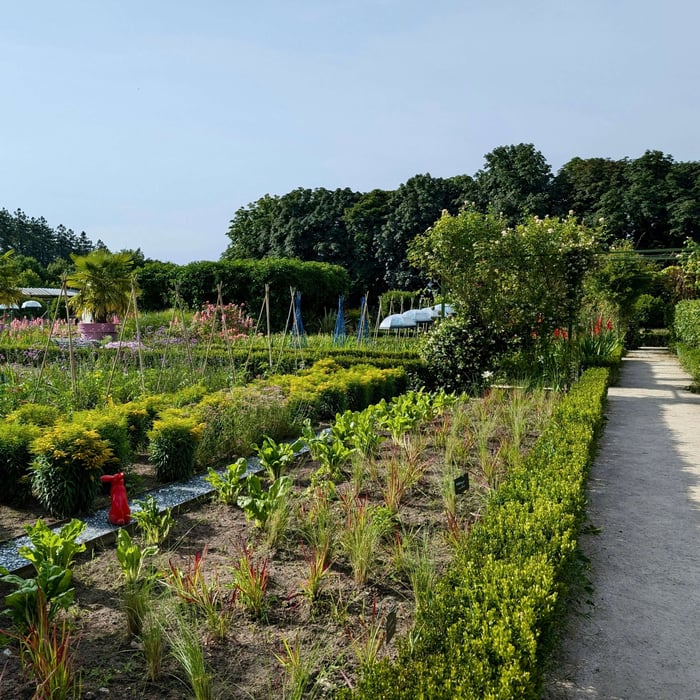 Green Thumbs Unite: Garden in the Name of Earth Day