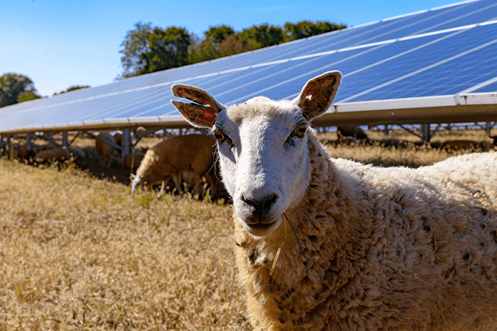 Why You Should Get Excited About RE-volv's Partnership with Dickinson