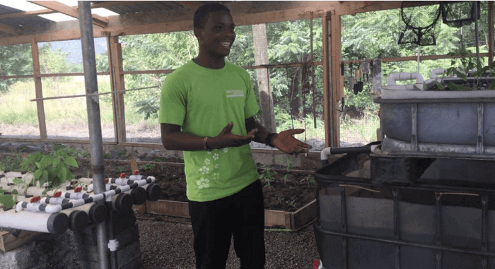 Sustainability Saves More than Just the Environment