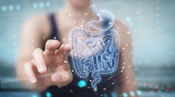 Immunsystem und Darm – die Zusammenhänge verstehen