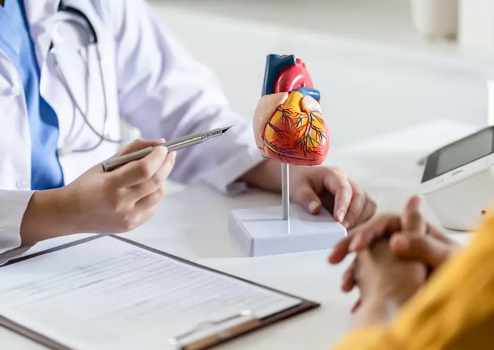 Arzt erklärt Patient das Herz anhand eines Models