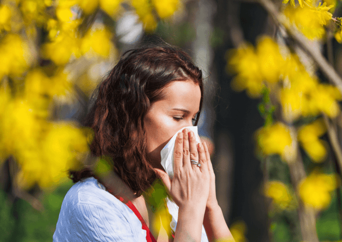 Pollenallergie Symptome und Darmgesundheit – Wie Probiotika Allergiesymptome lindern können