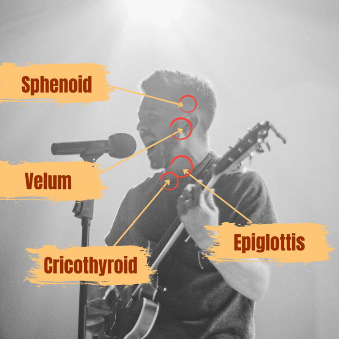 When singing where should you feel it? [The crazy answer]