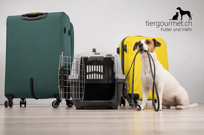 IATA-Flugboxen - mit dem Hund im Flugzeug reisen