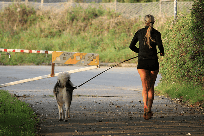 Joggen mit Hund - Tipps und Kniffe