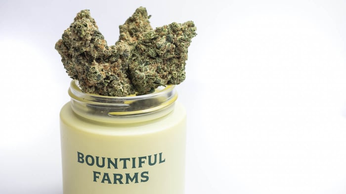 The Whole Truth ~ What are terpenes?