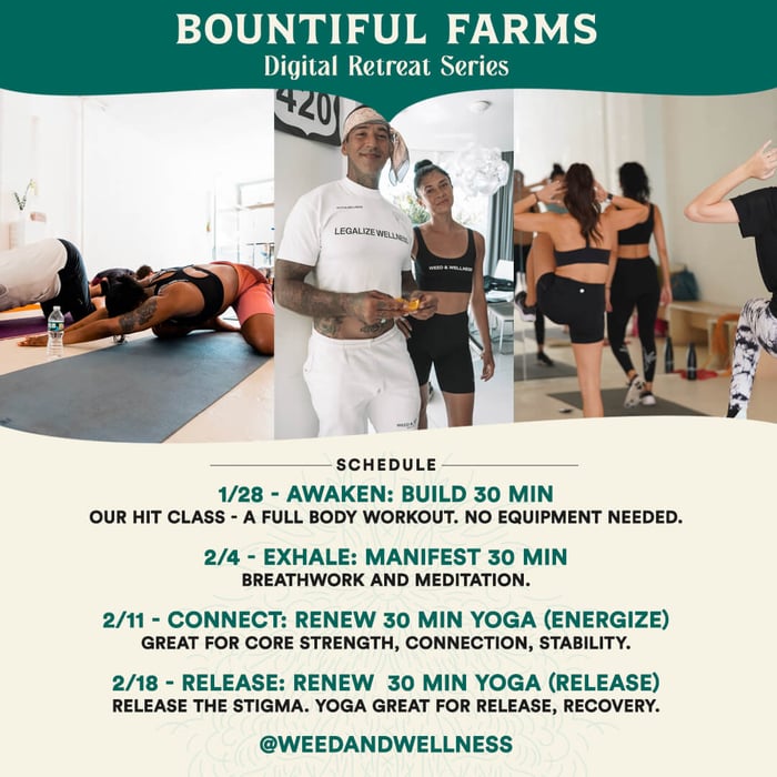 Weed and Wellness - Digital Retreat Series