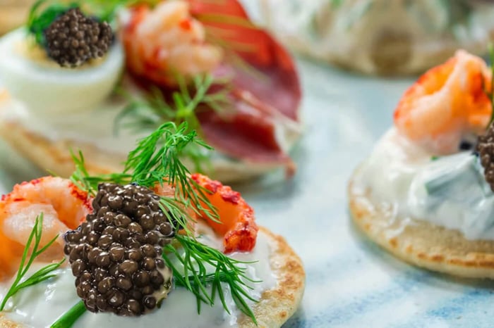 Sturgeon Biology: A Deep Dive Into the Caviar-Producing Fish