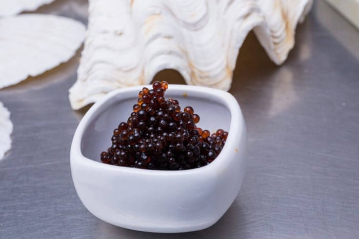 Caviar and Social Status: A Sociological Perspective