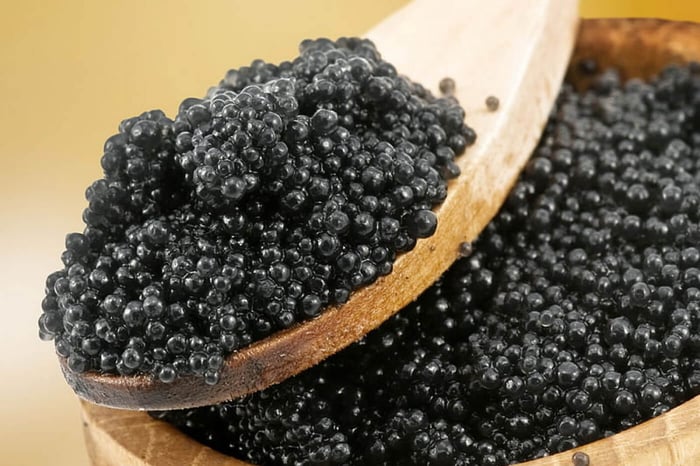 The Legalities of Caviar Trade: What Buyers Should Know