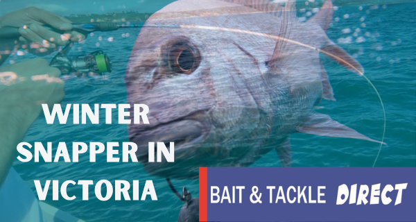Winter Snapper Fishing in Victoria: A Thrilling Pursuit