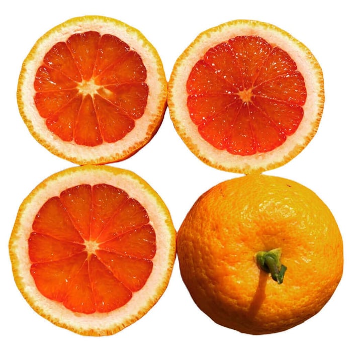 vaniglia sanguigno blood orange