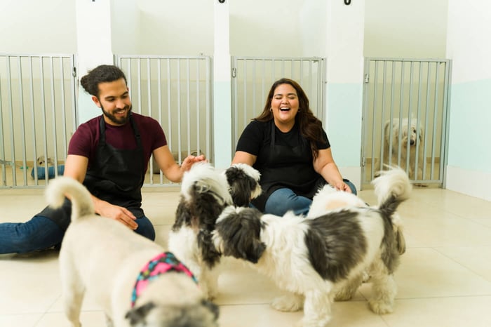 Top 10 Doggie Daycare Tips for Small Dog Owners