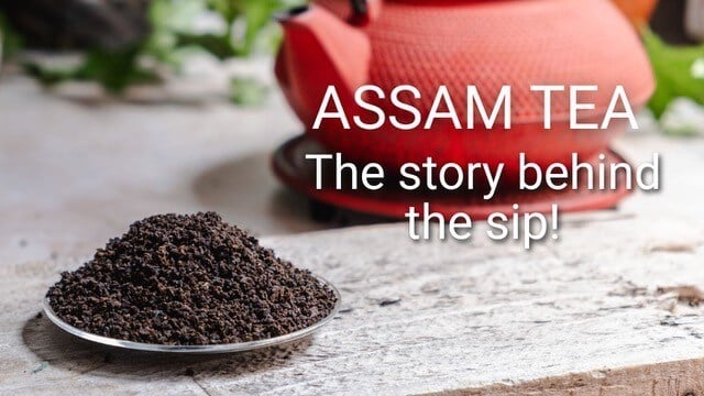 Assam Tea: The story behind the sip!