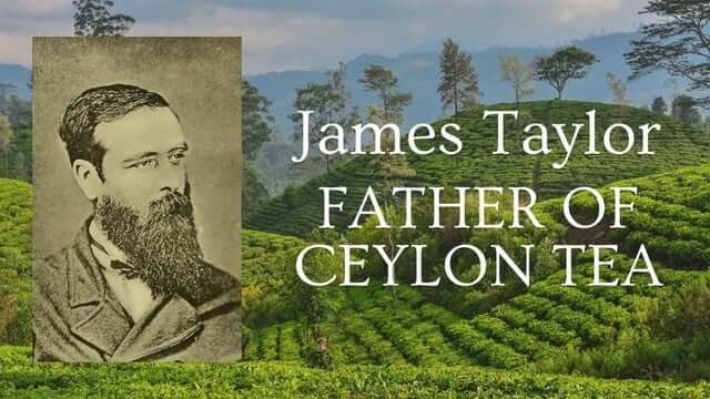 James Taylor Ceylon Tea
