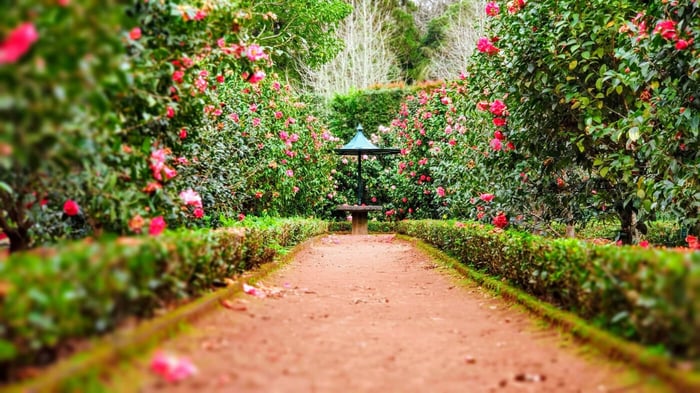 10 Design Ideas For Small Gardens