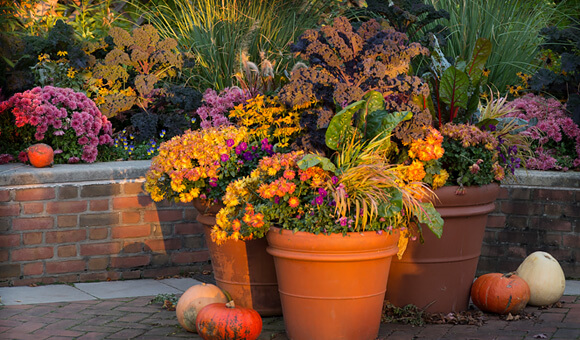September Gardening Jobs (2022)