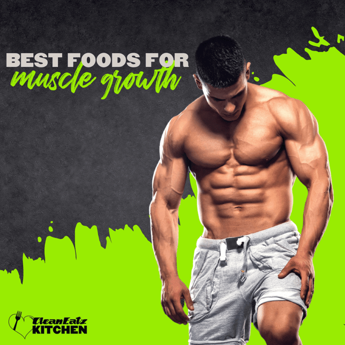 Best Foods for Muscle Growth
