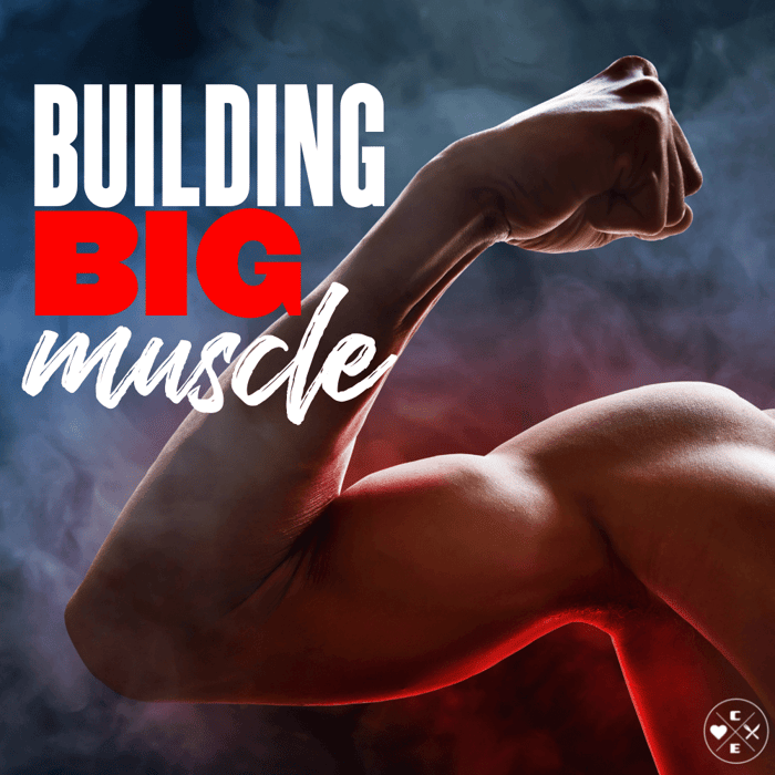 How to Gain Muscle Fast?