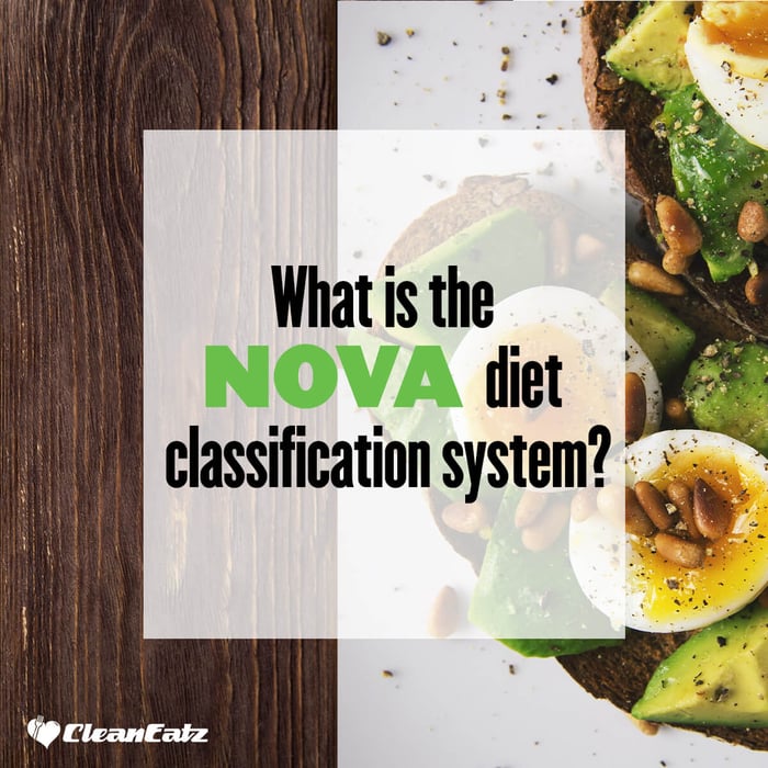 What is the NOVA Food Classification System?