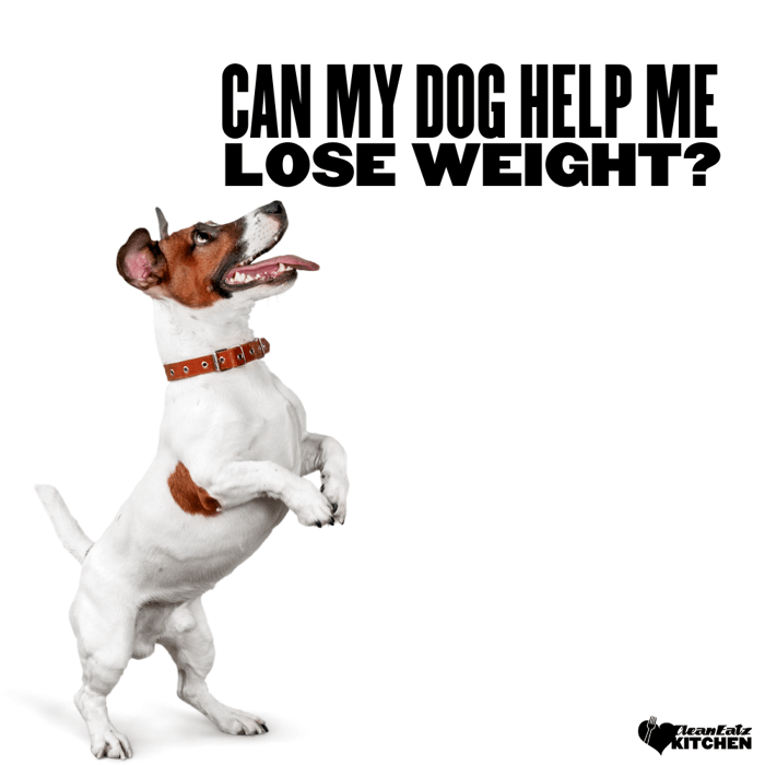 Can My Dog Help Me Lose Weight?