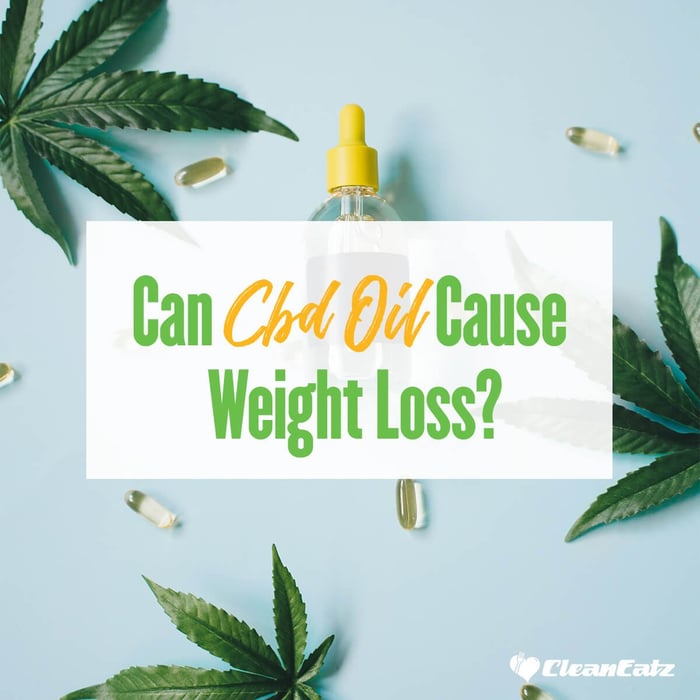 How Effective Can CBD Oil for Weight Loss Be?