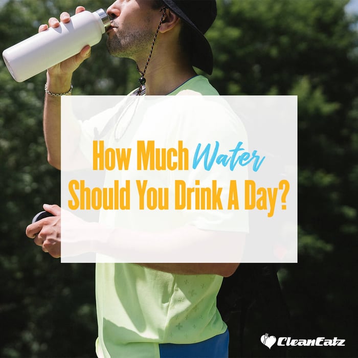 How Much Water Should You Drink A Day?