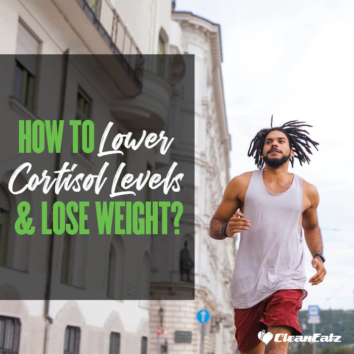 How to Lower Cortisol Levels and Lose Weight: Secrets of Effective Stress Management