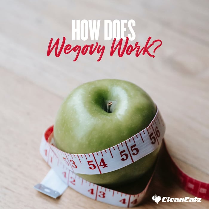 How Does Wegovy Work? The Mechanisms of Effective Weight Loss