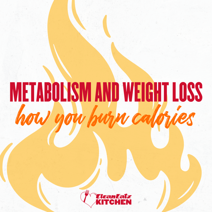 Metabolism and Weight Loss: How You Burn Calories?