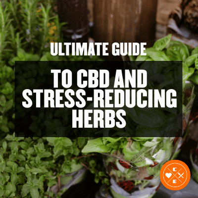 Ultimate Guide to CBD and Stress-Reducing Herbs
