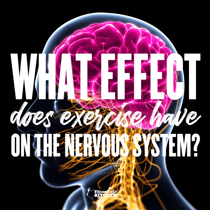 What Effect Does Exercise Have on The Nervous System?