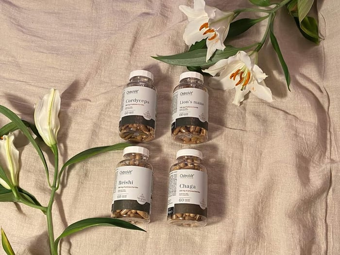 Reishi, chaga, Lions Mane, Cordyceps
