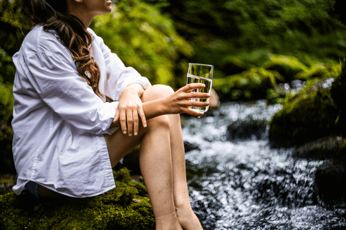 NAD og Taurine som longivity
